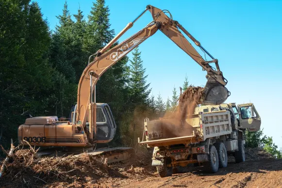 루핀 카지노 지원